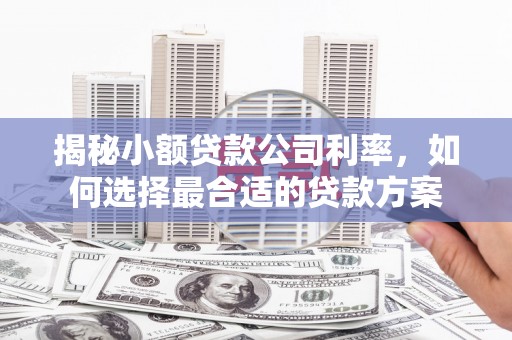贺州揭秘小额贷款公司利率，如何选择最合适的贷款方案