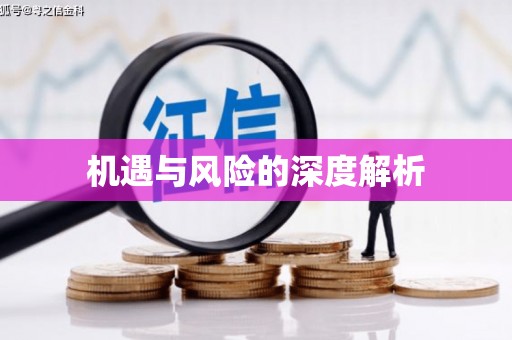 贺州机遇与风险的深度解析