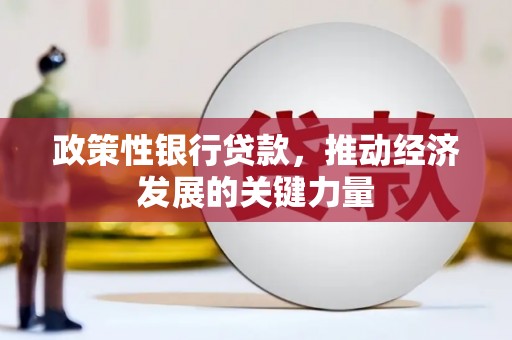 贺州政策性银行贷款，推动经济发展的关键力量