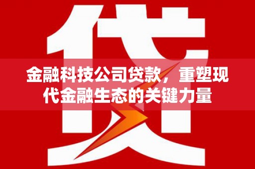 贺州金融科技公司贷款，重塑现代金融生态的关键力量