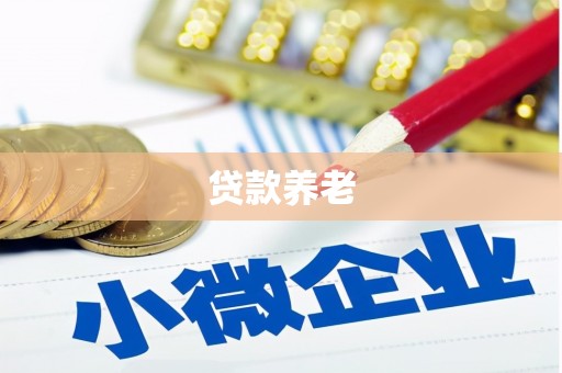 贺州贷款养老