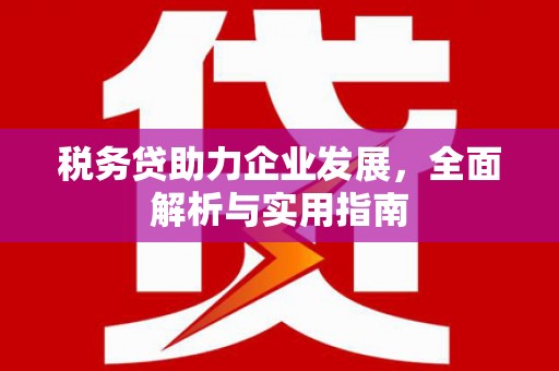 贺州税务贷助力企业发展，全面解析与实用指南