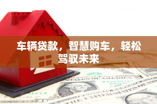 贺州车辆贷款，智慧购车，轻松驾驭未来