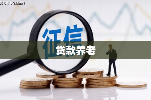 贺州贷款养老
