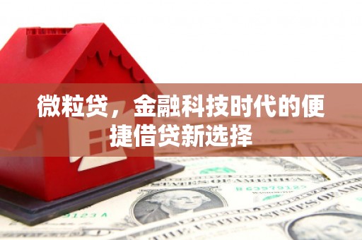 贺州微粒贷，金融科技时代的便捷借贷新选择