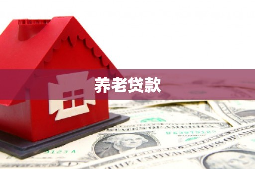 贺州养老贷款