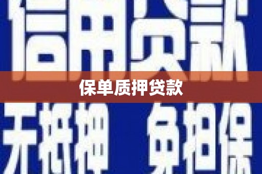 贺州保单质押贷款