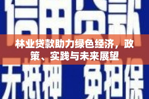 贺州林业贷款助力绿色经济，政策、实践与未来展望