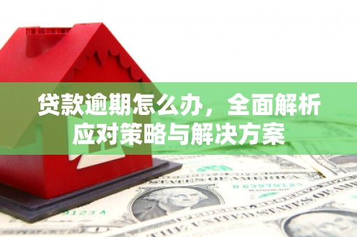 贺州贷款逾期怎么办，全面解析应对策略与解决方案