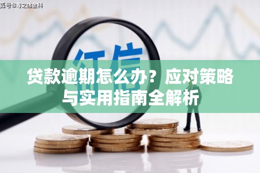 贺州贷款逾期怎么办？应对策略与实用指南全解析