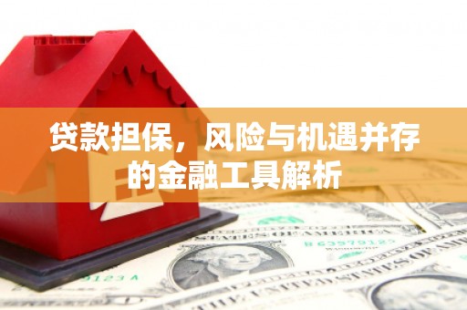 贺州贷款担保，风险与机遇并存的金融工具解析