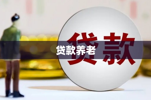 贺州贷款养老
