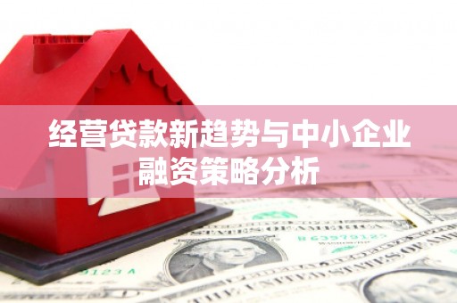 贺州经营贷款新趋势与中小企业融资策略分析