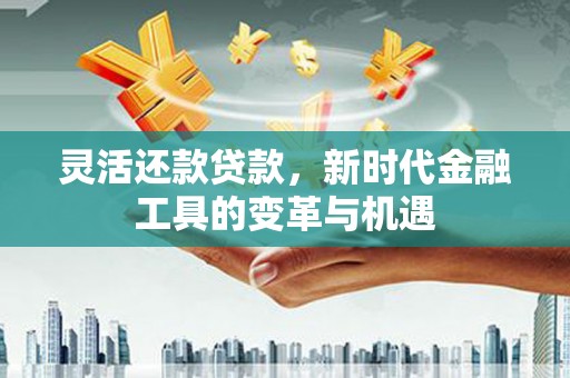 贺州灵活还款贷款，新时代金融工具的变革与机遇