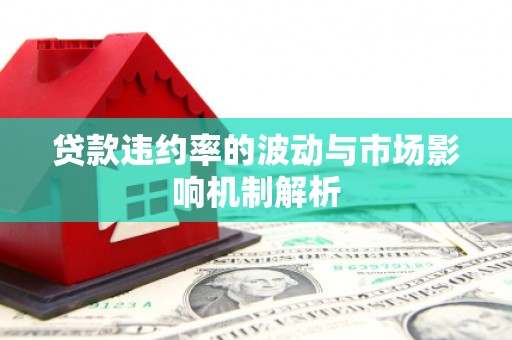 贺州贷款违约率的波动与市场影响机制解析