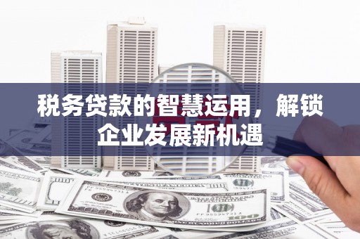 贺州税务贷款的智慧运用，解锁企业发展新机遇
