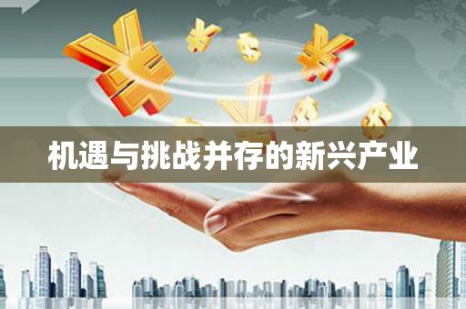 贺州机遇与挑战并存的新兴产业