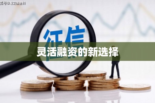 贺州灵活融资的新选择