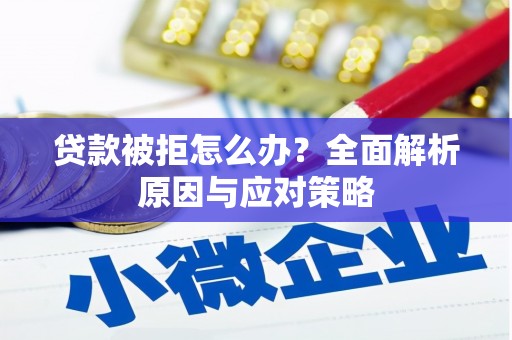 贺州贷款被拒怎么办？全面解析原因与应对策略