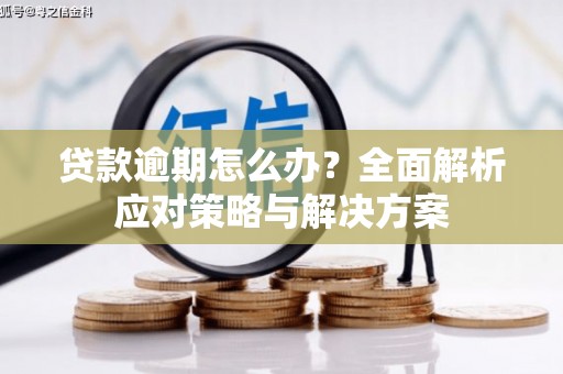 贺州贷款逾期怎么办？全面解析应对策略与解决方案