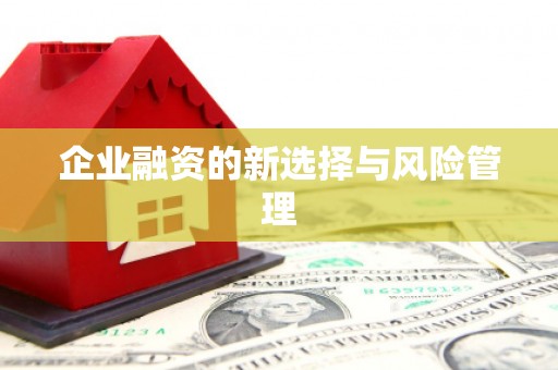 贺州企业融资的新选择与风险管理