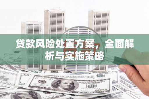 贺州贷款风险处置方案，全面解析与实施策略