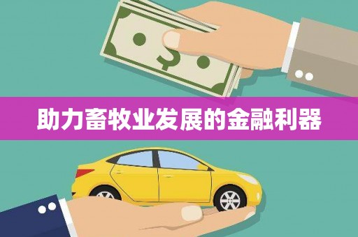 贺州助力畜牧业发展的金融利器