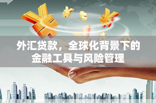 贺州外汇贷款，全球化背景下的金融工具与风险管理